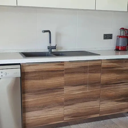 Carmen-2 ダルヤン