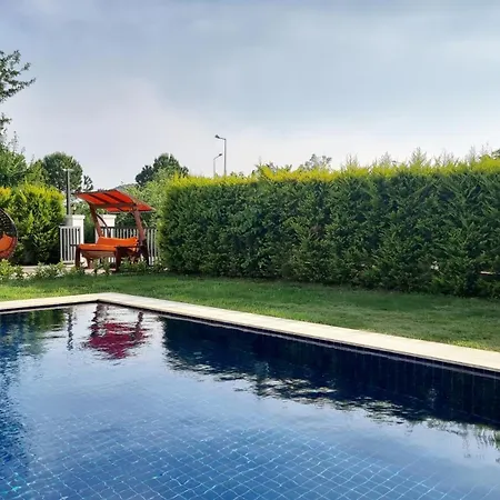 Carmen-2 ダルヤン